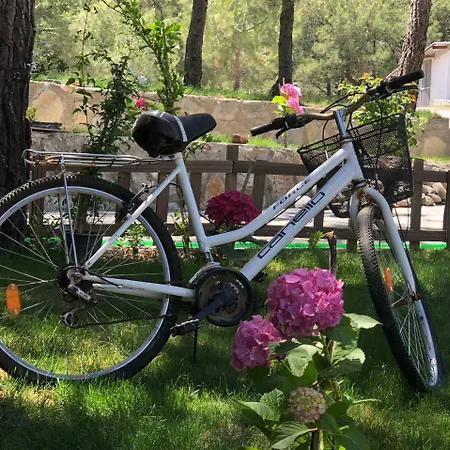 Hotel Durusu Ciftlik Evleri